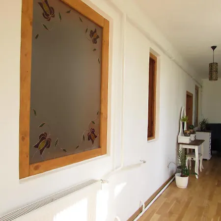 Bara Haz * Tvrdosovce