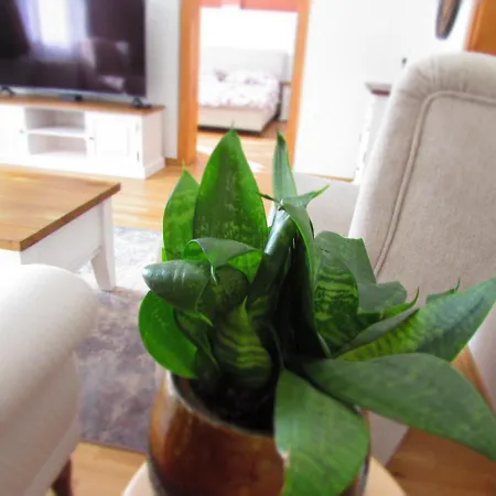 Bara Ház * Tvrdosovce